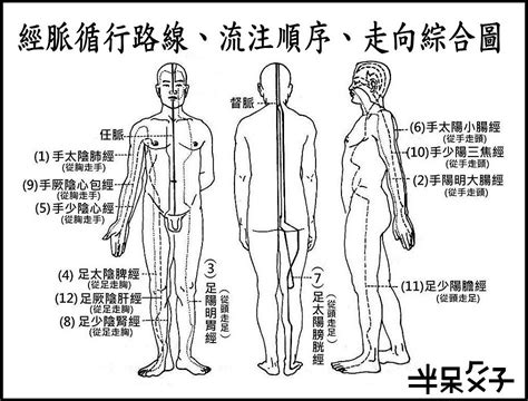 三陽三陰|十二經脈總結，附高清經絡圖！挺詳細的，一般人也看得懂，不妨。